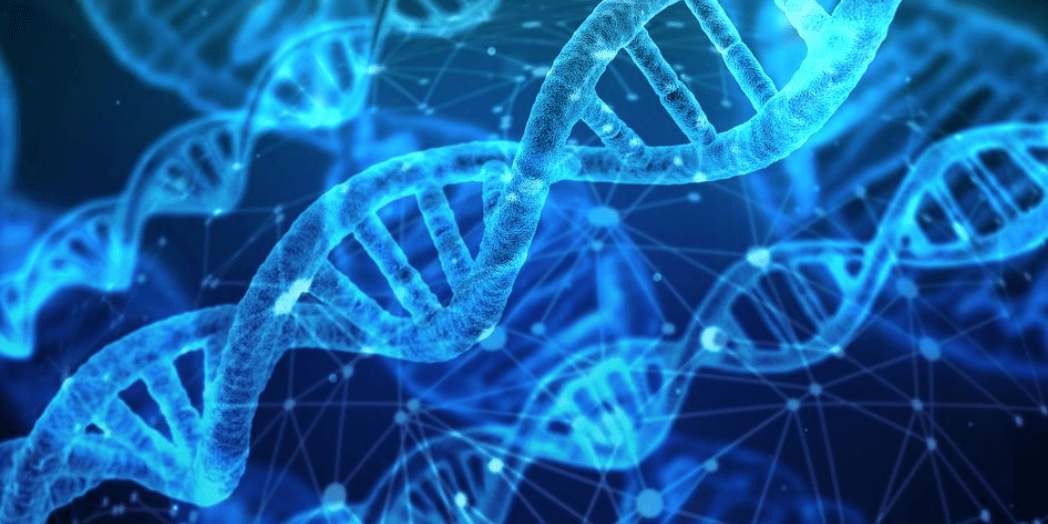 Analyse ADN : du test de paternité à la quête des origines