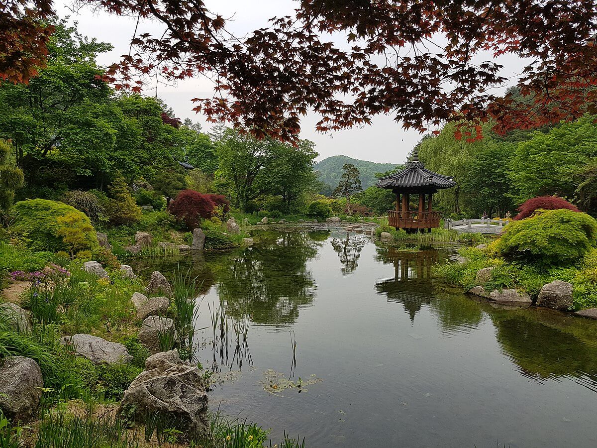 Corée du Sud : les activités en plein air pour s’occuper durant le séjour